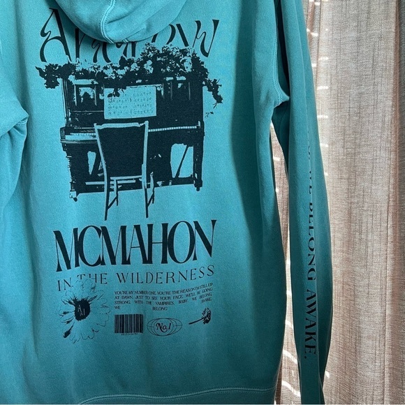 Andrew McMahon and the Wilderness Green Band Hooded Sweatshirt Size Medium - Picture 5 of 13